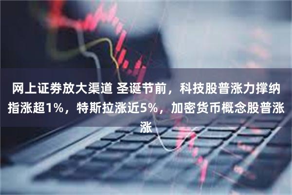 网上证劵放大渠道 圣诞节前，科技股普涨力撑纳指涨超1%，特斯拉涨近5%，加密货币概念股普涨