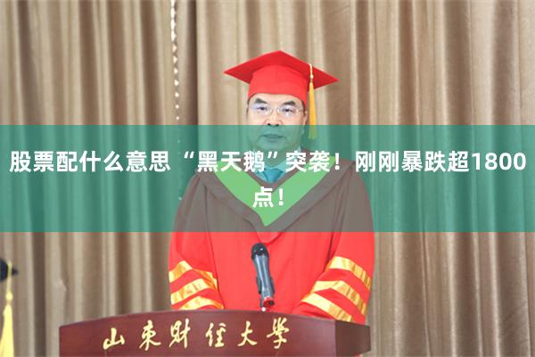 股票配什么意思 “黑天鹅”突袭！刚刚暴跌超1800点！