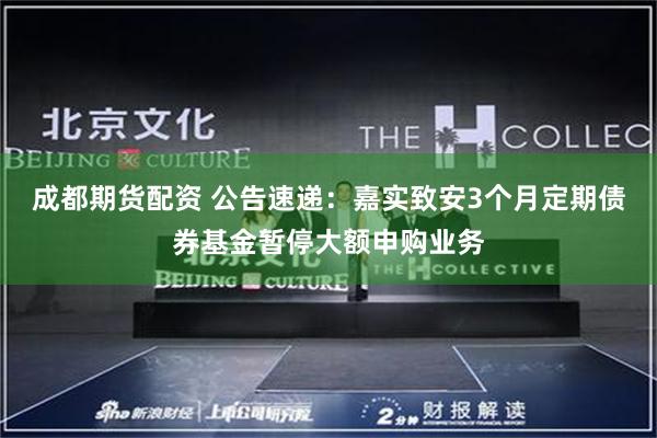 成都期货配资 公告速递：嘉实致安3个月定期债券基金暂停大额申购业务