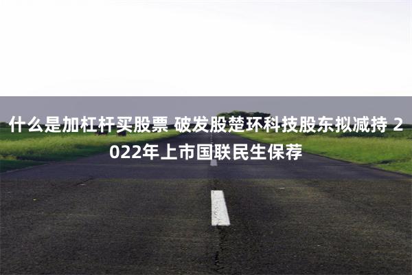 什么是加杠杆买股票 破发股楚环科技股东拟减持 2022年上市国联民生保荐
