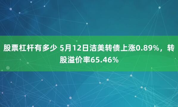 股票杠杆有多少 5月12日洁美转债上涨0.89%，转股溢价率65.46%
