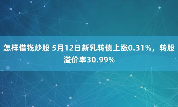 怎样借钱炒股 5月12日新乳转债上涨0.31%，转股溢价率30.99%