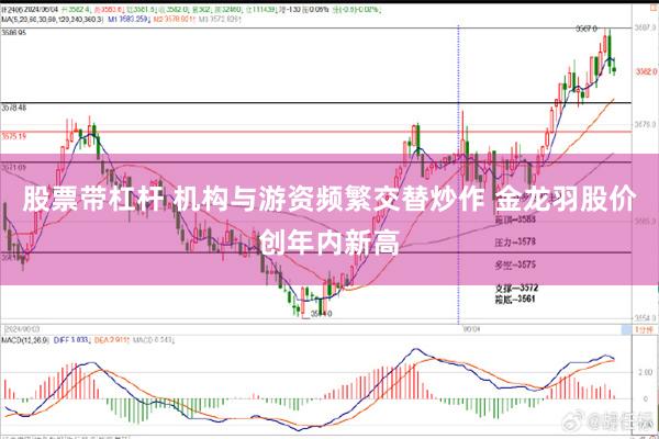 股票带杠杆 机构与游资频繁交替炒作 金龙羽股价创年内新高