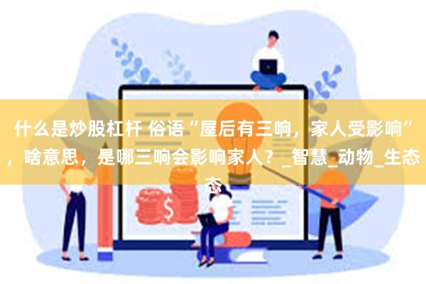 什么是炒股杠杆 俗语“屋后有三响，家人受影响”，啥意思，是哪三响会影响家人？_智慧_动物_生态