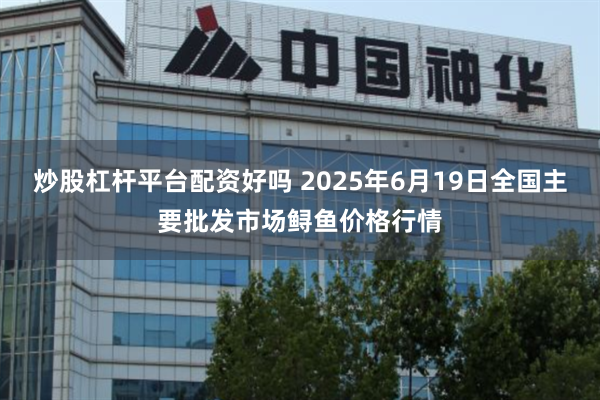 炒股杠杆平台配资好吗 2025年6月19日全国主要批发市场鲟鱼价格行情