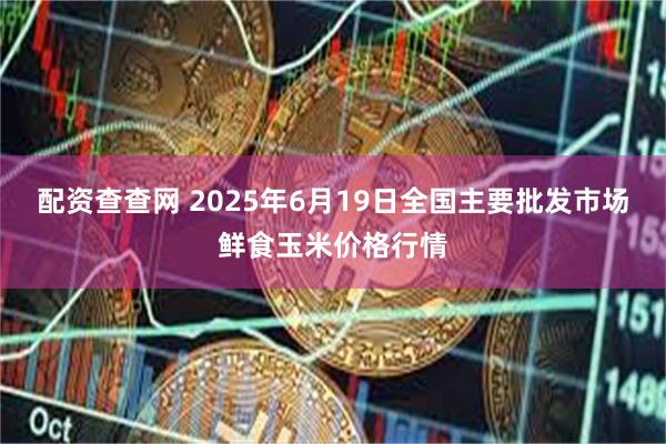 配资查查网 2025年6月19日全国主要批发市场鲜食玉米价格行情