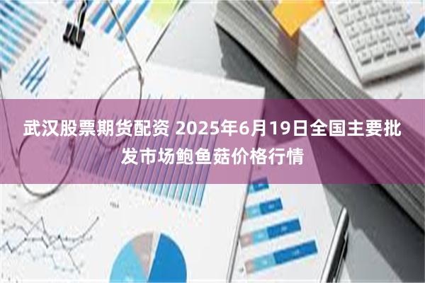 武汉股票期货配资 2025年6月19日全国主要批发市场鲍鱼菇价格行情